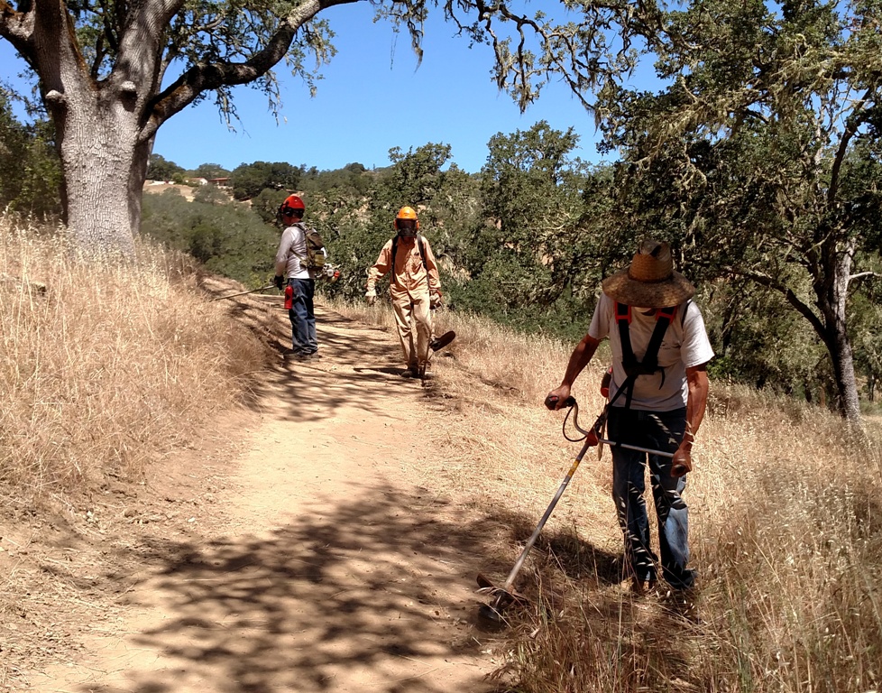 Pat, John and Phil cutting the tall grass along the trail.